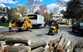 Best Tree Planting Services  in Lakeview, NY